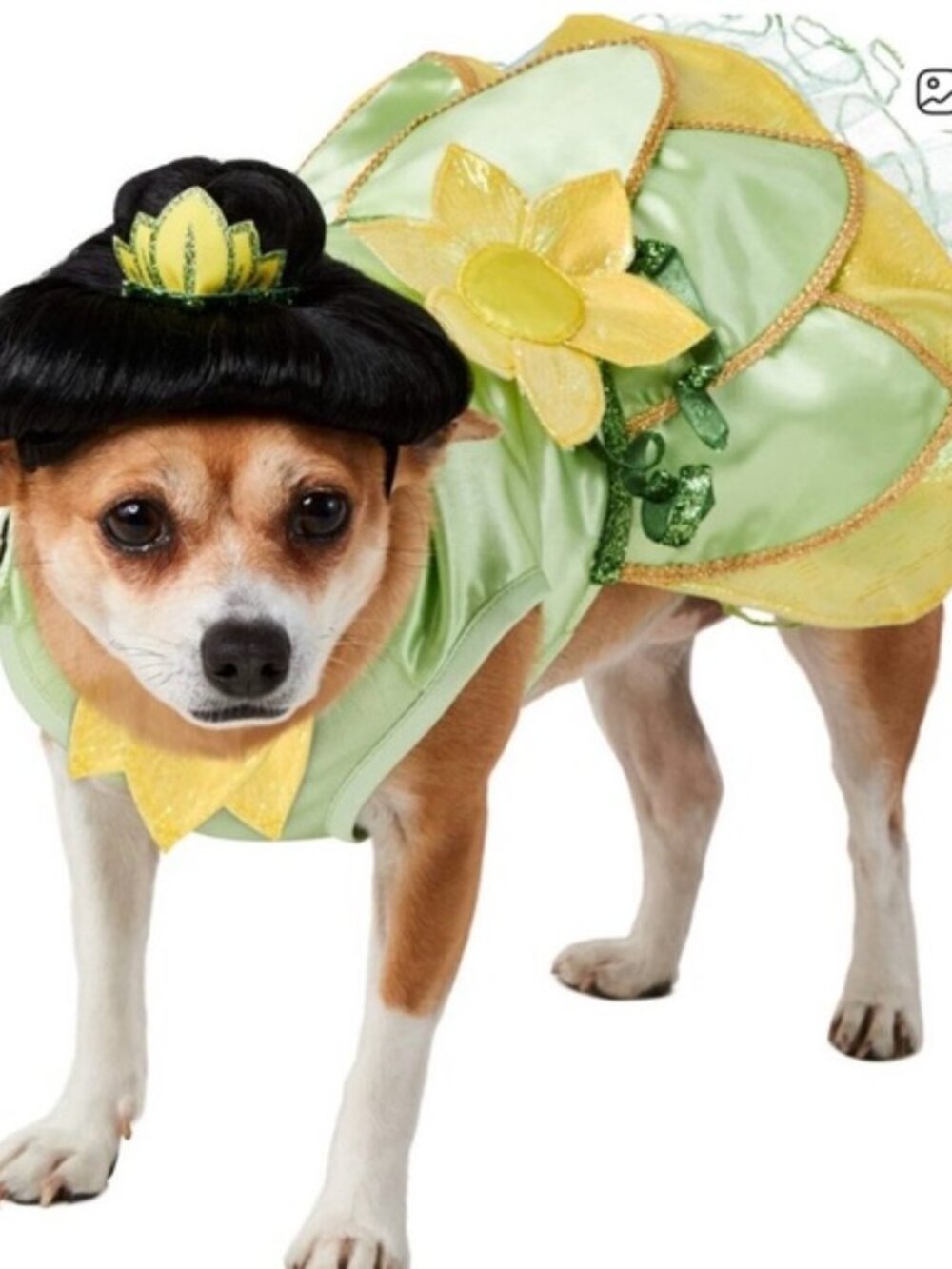 Disney Tails | NO WIG Princess Tiana Pet costume | Size Medium
